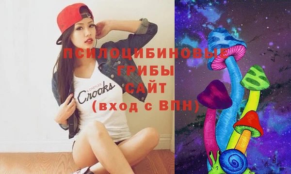 mix Арсеньев