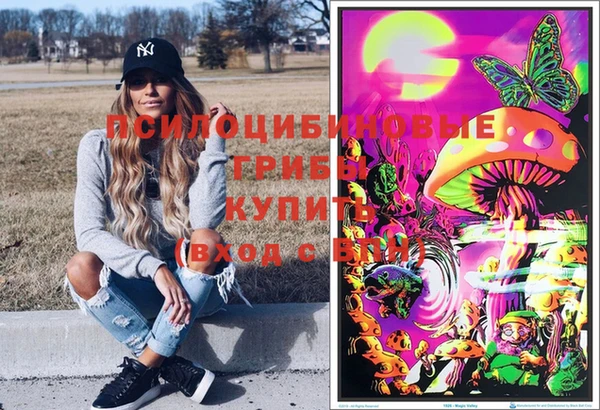 МДПВ Аркадак